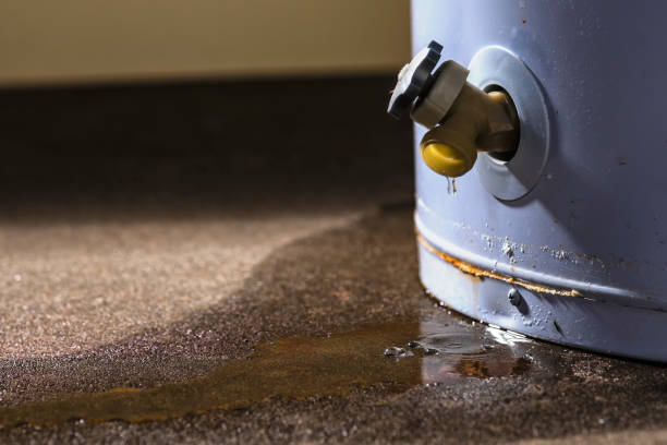 Best Commercial water damage restoration  in Rincon, GA