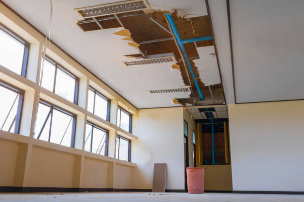 Best Flood damage cleanup  in Rincon, GA