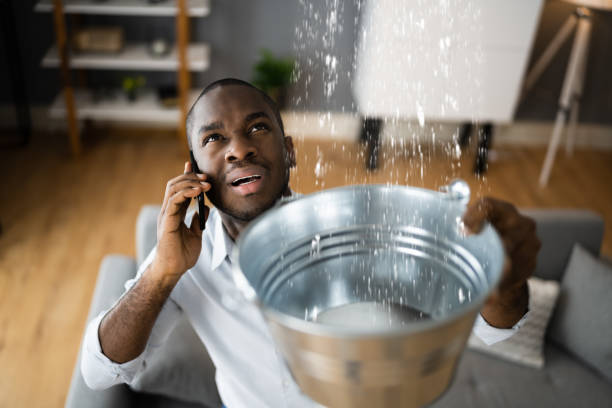 Best Local water damage restoration  in Rincon, GA