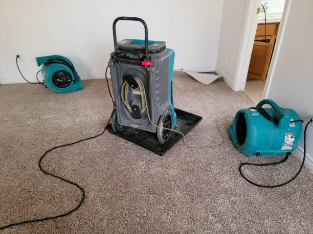 Best Commercial water damage restoration  in Rincon, GA