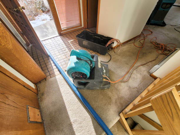 Best Residential water damage restoration  in Rincon, GA
