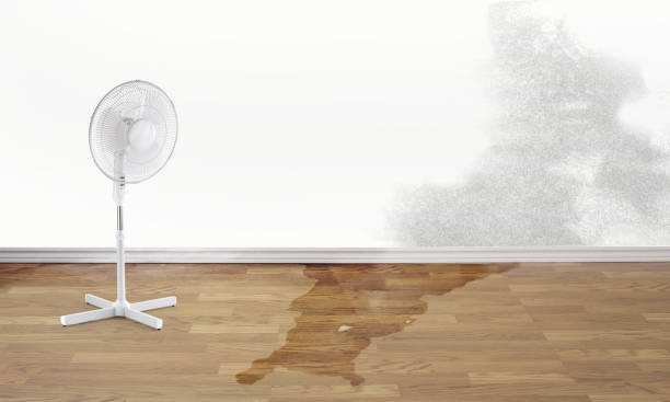 Best Water damage mitigation services  in Rincon, GA