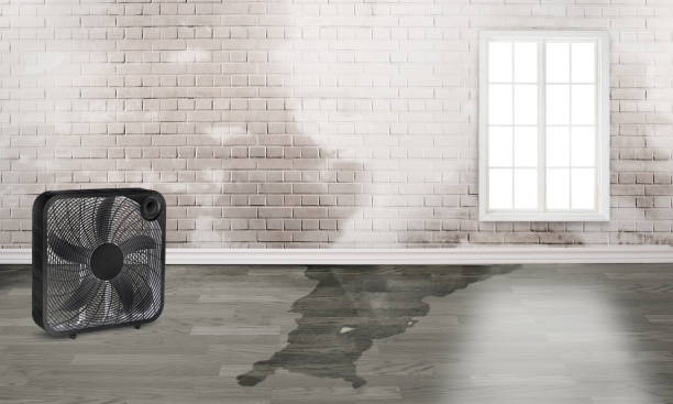  Rincon, GA Water damage restoration Pros