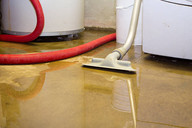 Best Water damage cleanup near me  in Rincon, GA