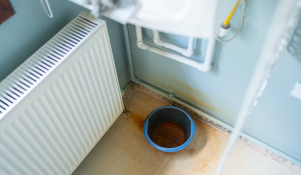 Best Fire Damage Restoration  in Rincon, GA