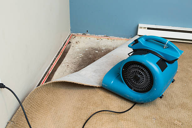 Best Water damage restoration near me  in Rincon, GA